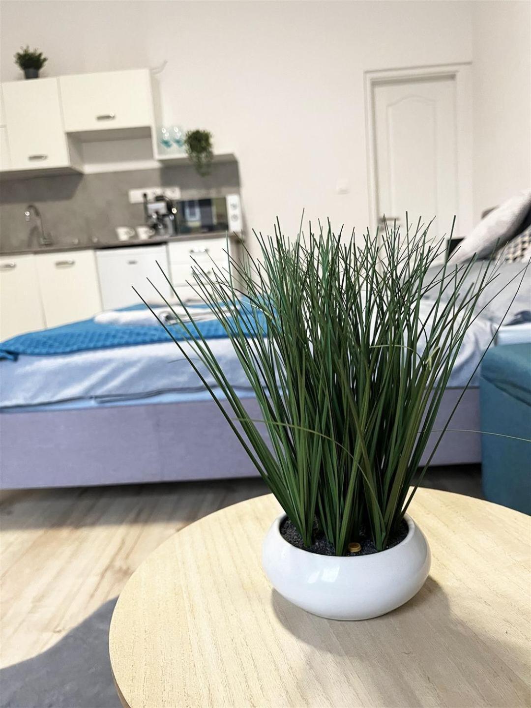 Bereg Szive Apartman Vásárosnamény Exterior foto